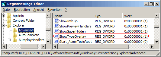 ShowTypeOverlay