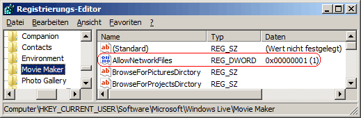AllowNetworkFiles