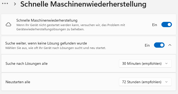 Schnelle Maschinenwiederherstellung